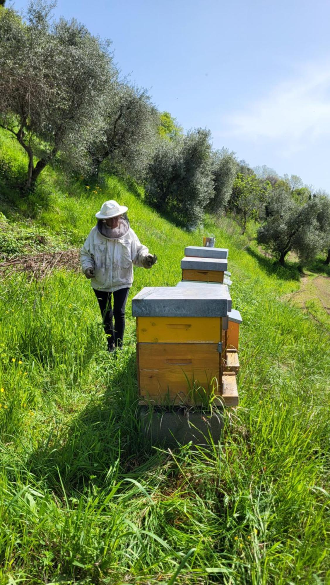 Agriturismo Podere Nigriano 萨罗 外观 照片