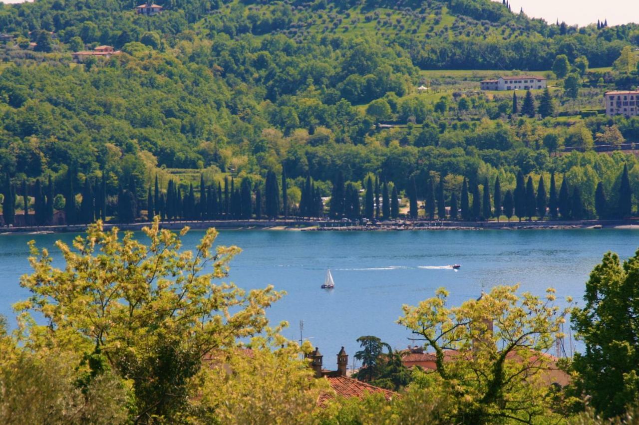 Agriturismo Podere Nigriano 萨罗 外观 照片