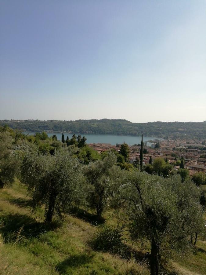 Agriturismo Podere Nigriano 萨罗 外观 照片